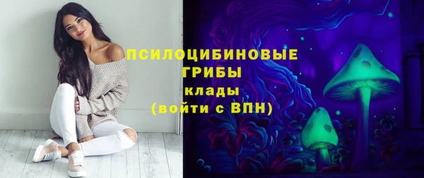 марки lsd Белокуриха