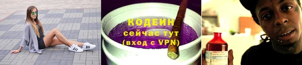 крисы Богородицк