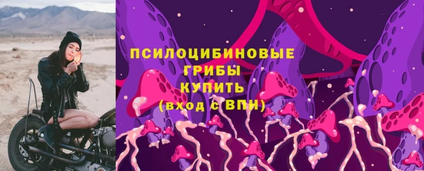 крисы Богородицк
