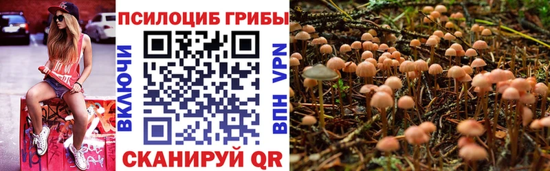 Галлюциногенные грибы Cubensis  Благовещенск 